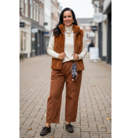 Brussel Gilet/bonje roest