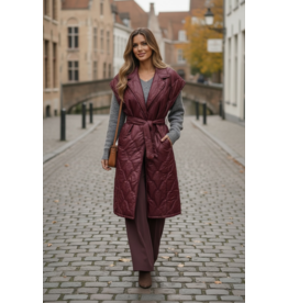 Parijs Bodywarmer kato lang bourgogne