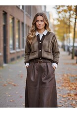Parijs Rok Wild suede
