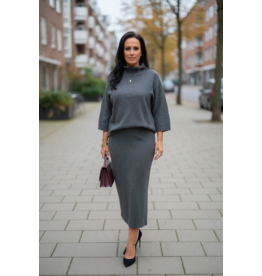 Ivy Beau Rok Mexxi grijs