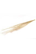 HD bos Mustard Grass in hoes 100 gram  ↑90.0 (x 24)