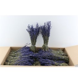 GF Droogbloemen Lavendel Dark Blauw 150Gram Pbs (X 5)