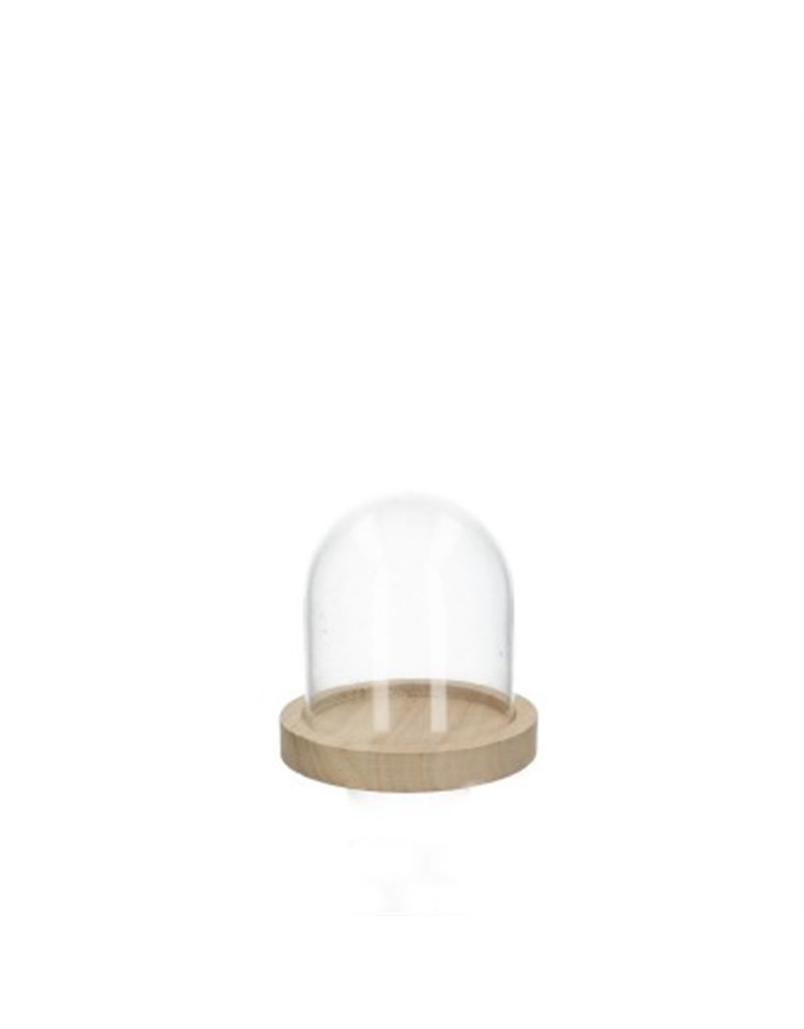 HD Basic Glass Dome W. Wood Base Ø10.0 ↑12.0 (x 4)8