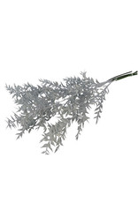 4AT Droogbloem Ruscus glitter 65cm x5 | Kleur: Wit | Eenheid: bos | Aantal: 1 | Aantal per eenheid: 5x