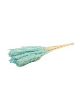 HD Bos Fluffy Pampas in hoes 50-70 gram ↑75.0 ( x 30 )