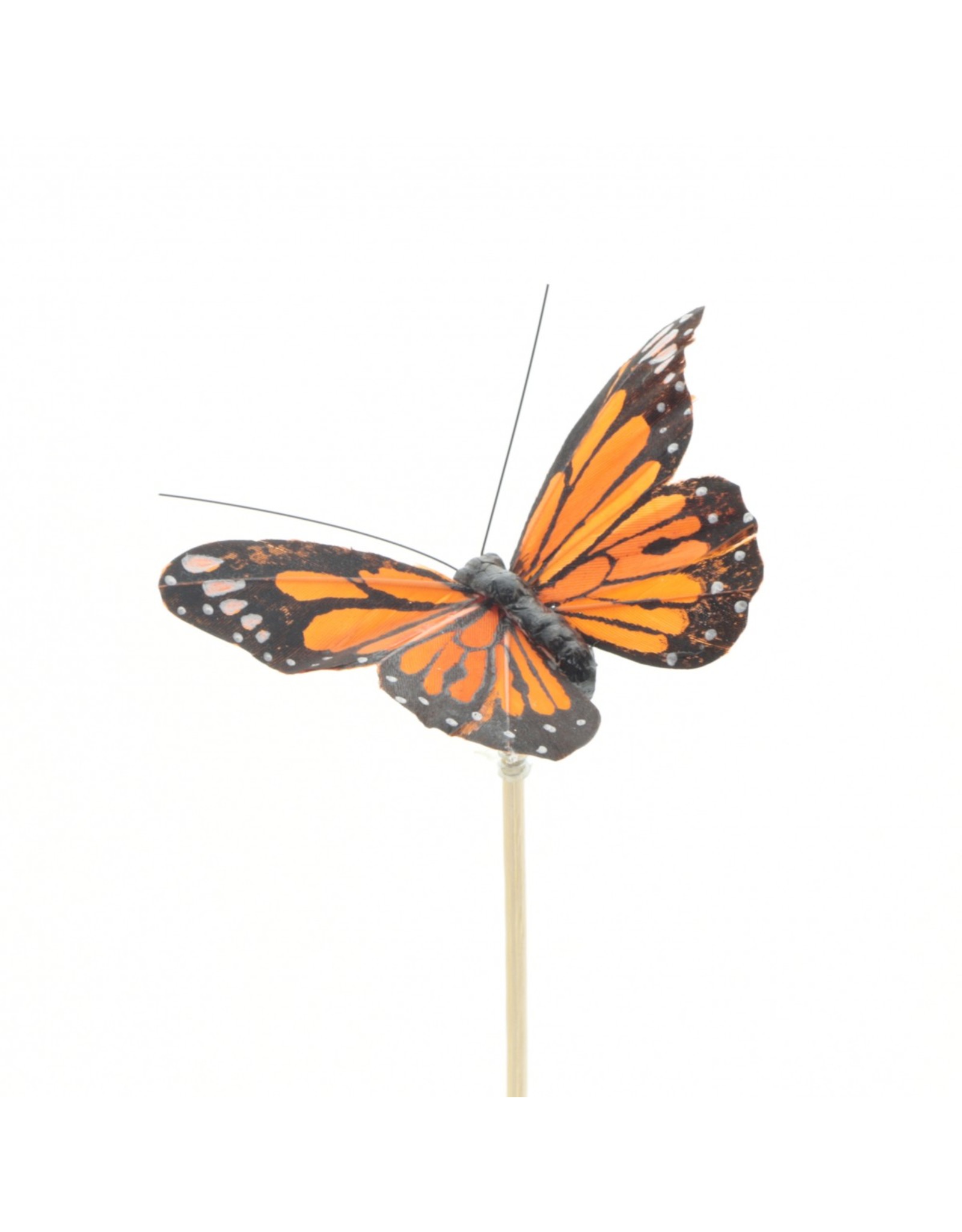 4AT Bijsteker 50cm Vlinder Atalanta 9cm | Kleur: Oranje | Eenheid: bundel | Aantal: 25 | Aantal per eenheid: x