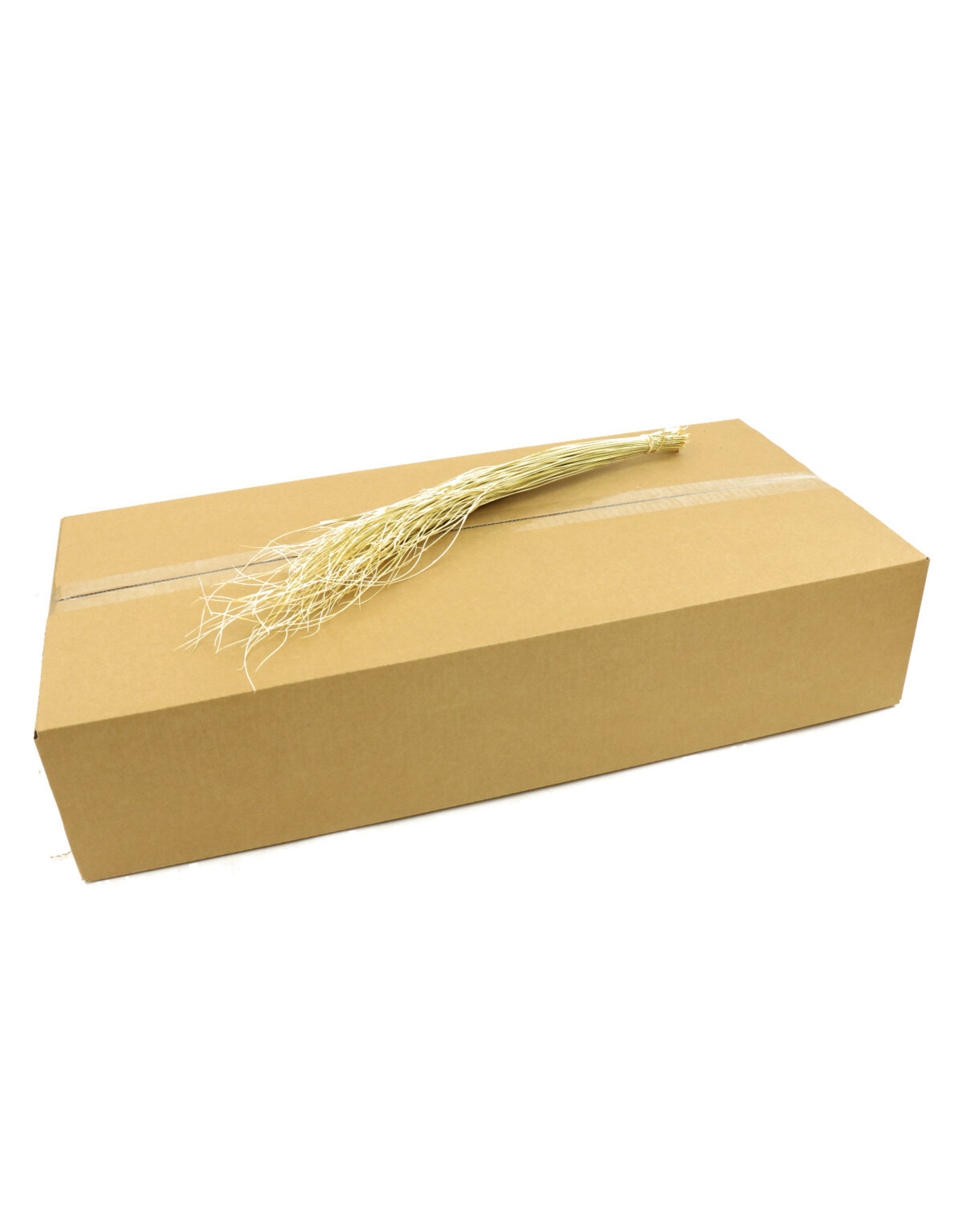4AT Droogbloem/doos Curly grass 65cm | Kleur: Gebleekt | Eenheid: doos | Aantal: 40 | Aantal per eenheid: x