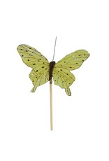 4AT Bijsteker 50cm Vlinder Tropicana 8cm ( x 25 )