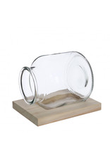 4AT Glas Terrarium+hout d14*16cm | Kleur: Transparant | Eenheid: doos | Aantal: 1 | Aantal per eenheid: x