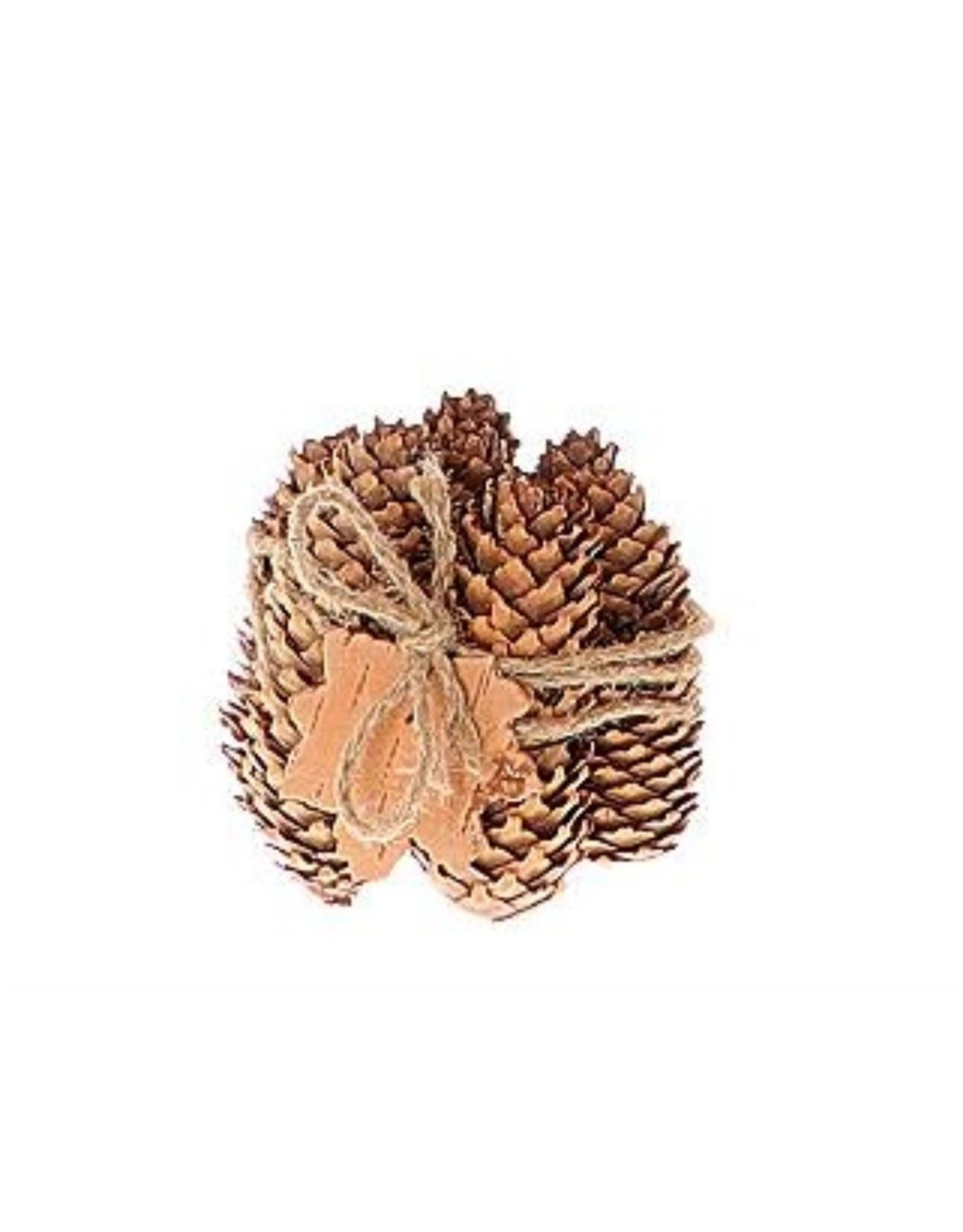 4AT Dennenappels Pinecone 20cm x7 ( x 1 )