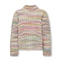 Gebreide Knit Pullover Multicolor