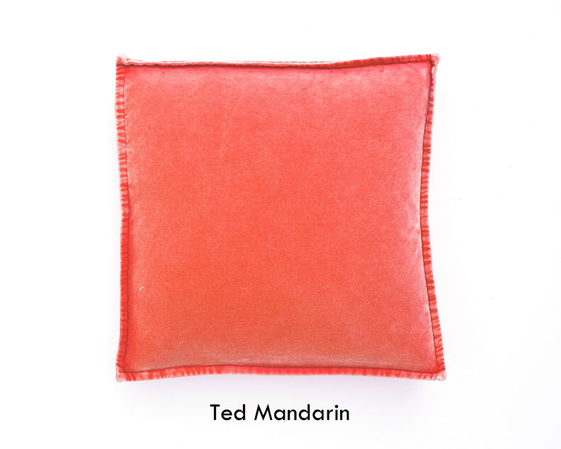 Ted Cushion cover