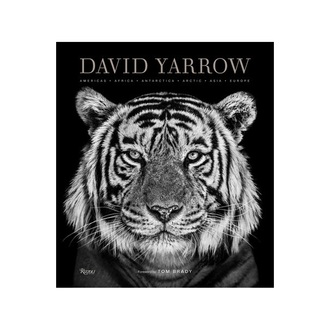 Rizzoli David Yarrow Photography