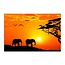 Schilderij Afrikaanse olifanten , 4 maten , oranje zwart (wanddecoratie)