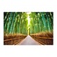 Schilderij Bamboe bos, 4 maten, groen/bruin (premium print)