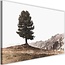 Schilderij Boom op een heuvel, 2 maten, beige, Premium print