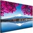 Schilderij Berg Fuji en meer, 2 maten, blauw/roze, Premium print