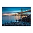 Schilderij Bay Bridge San Francisco, bij nacht, 4 maten