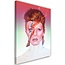 Schilderij David Bowie , Zanger , 2 maten , multikleur ,Premium print