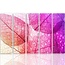 Schilderij , Bladeren in pastel , multikleur ,4 maten , 5 luik , wanddecoratie , Premium print , XXL