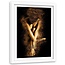 Foto in frame , Naakt model in goudstof ,120x80cm , zwart bruin , wanddecoratie