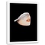 Foto in frame , Half vrouwen gezicht met vogel ,70x100cm , wit beige , wanddecoratie