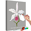 Doe-het-zelf op canvas schilderen - Lelia elegans