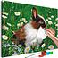 Doe-het-zelf op canvas schilderen - Rabbit in the Meadow