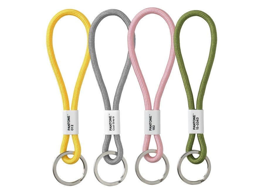 Pantone Sleutelhanger Grijs Cool Gray 9