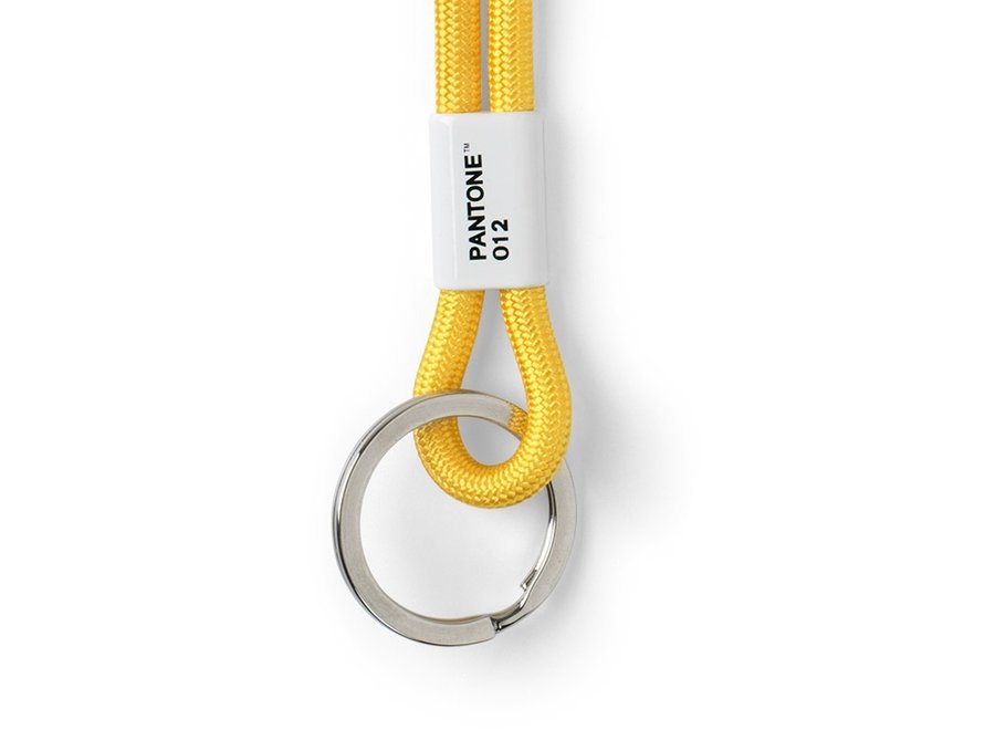 Pantone Keycord Geel