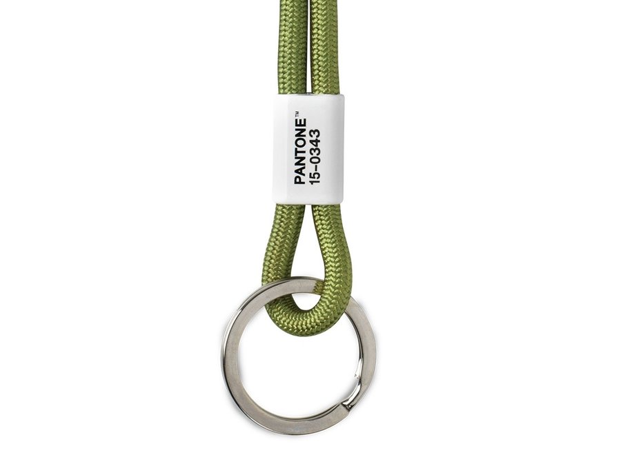 Pantone Keycord Groen