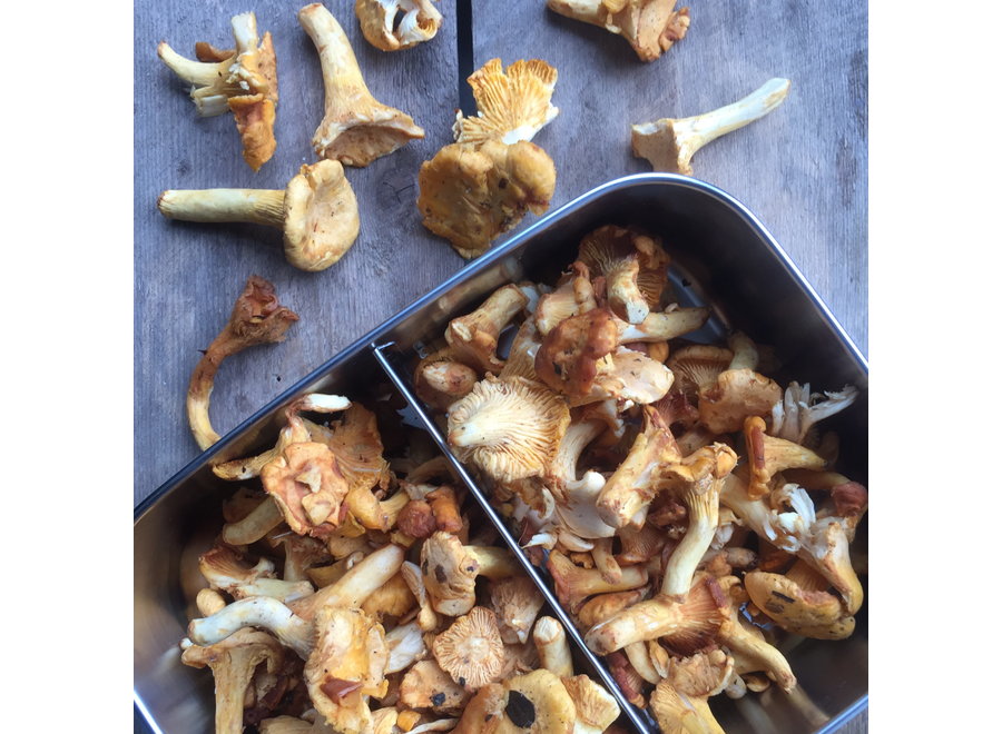 Bento Lunchbox Large -2