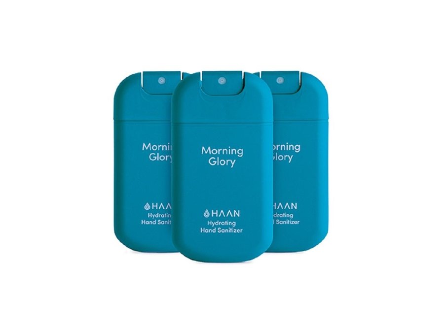 3-Pack Morning Glory