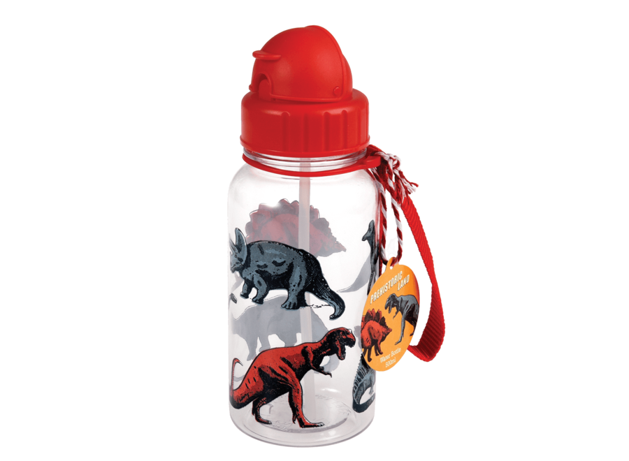 Drinkfles met Rietje Prehistoric Land 500ml