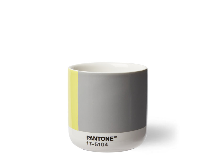 Pantone Cortado 190ml COY 2021 Ultimate Gray 17-5104 + Illuminating 13-0647