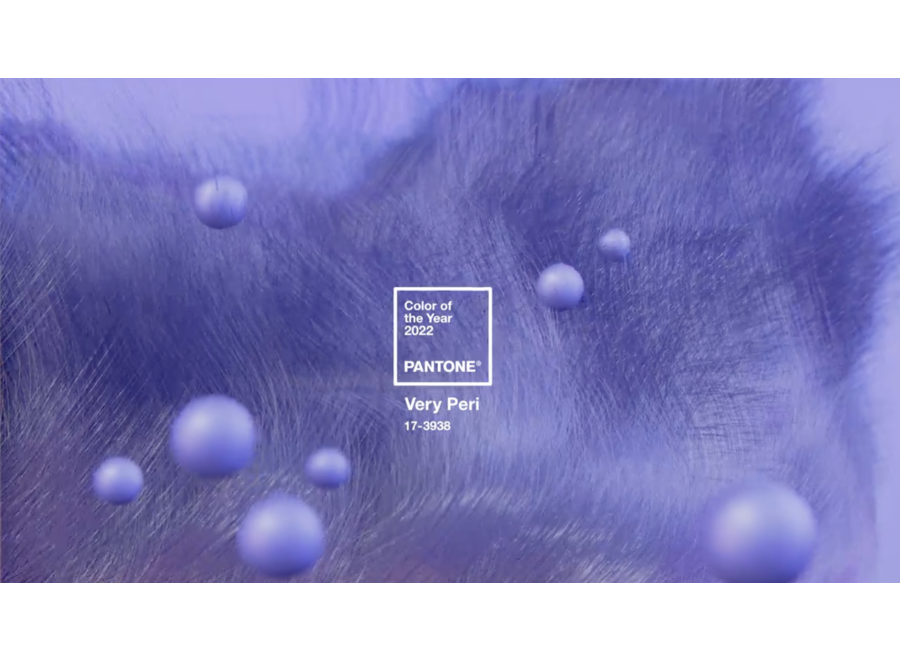 Pantone Sleutelhanger Color of the Year 2022 Very Peri 17-3938