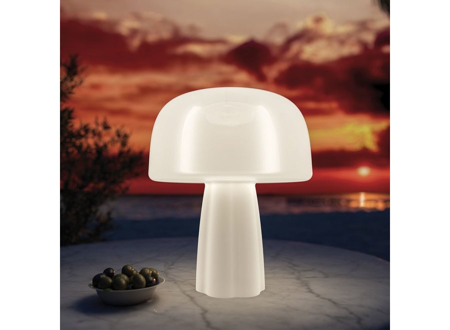 Boleti Lamp