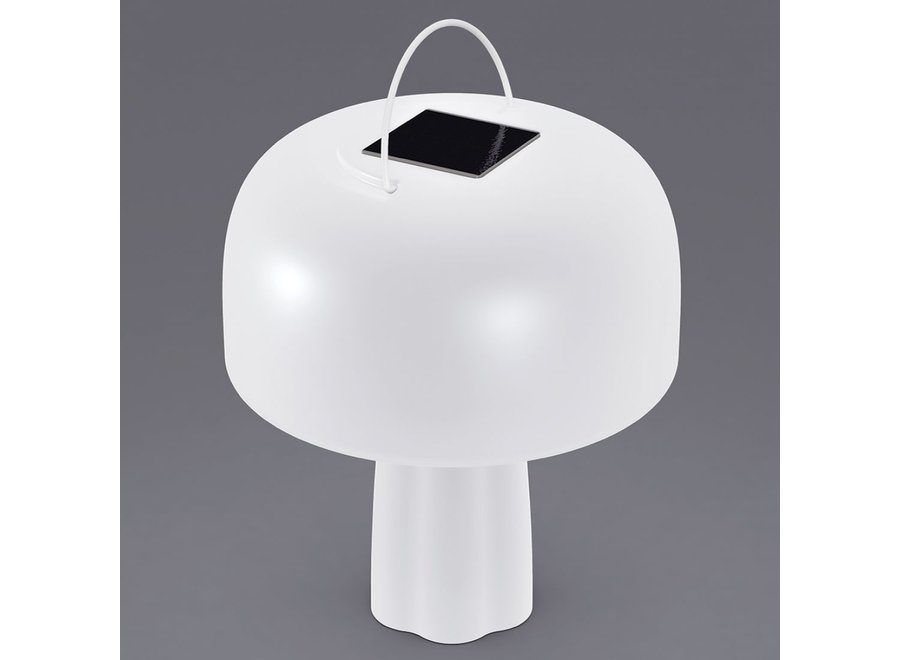 Boleti Lamp