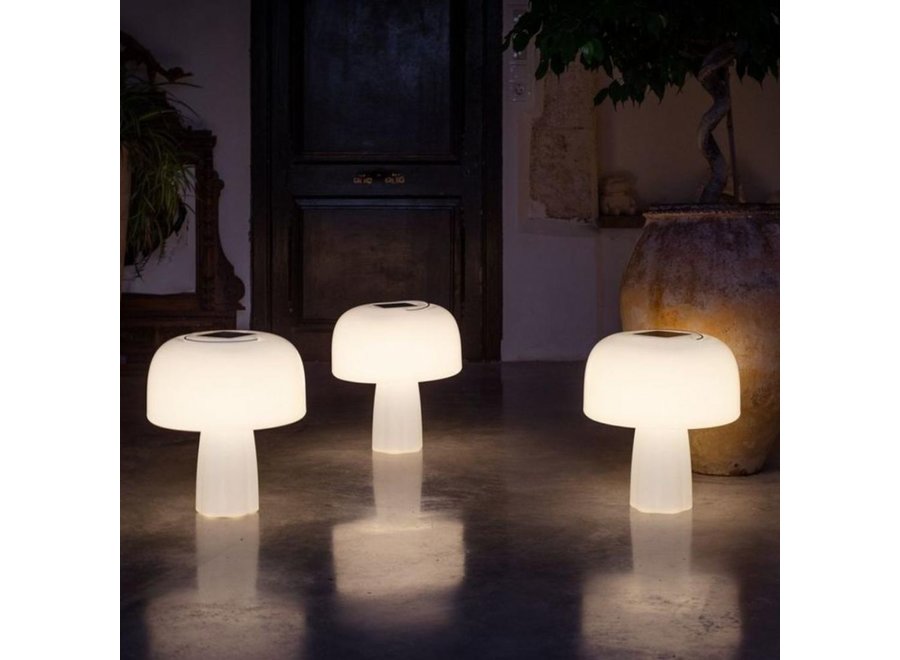 Boleti Lamp