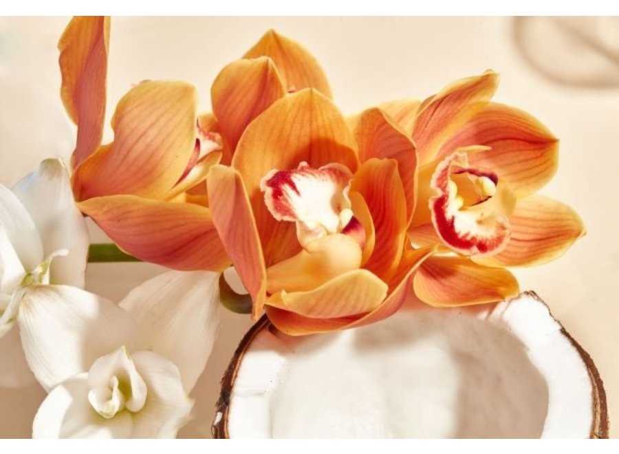 Body Lotion Wild Orchid 250ml