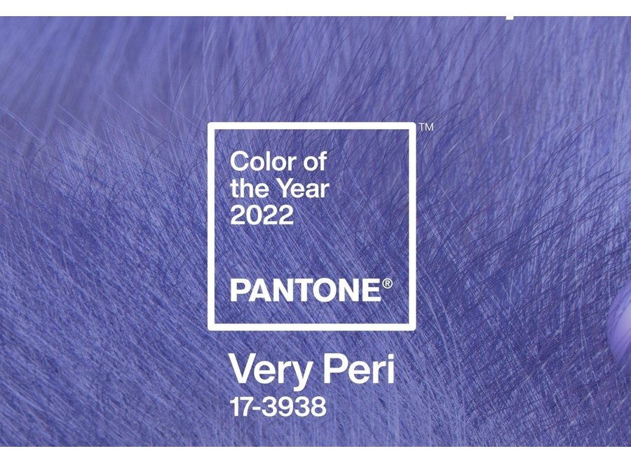 Pantone Espresso Kop 120ml COY 2022 Veri Peri 17-3938