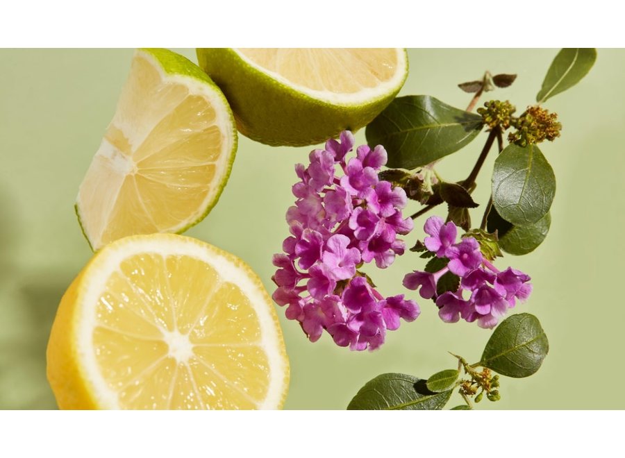 Body Wash Purifying Verbena 450ml