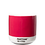 Pantone Cortado 190ml COY 2023 Viva Magenta 18-1750