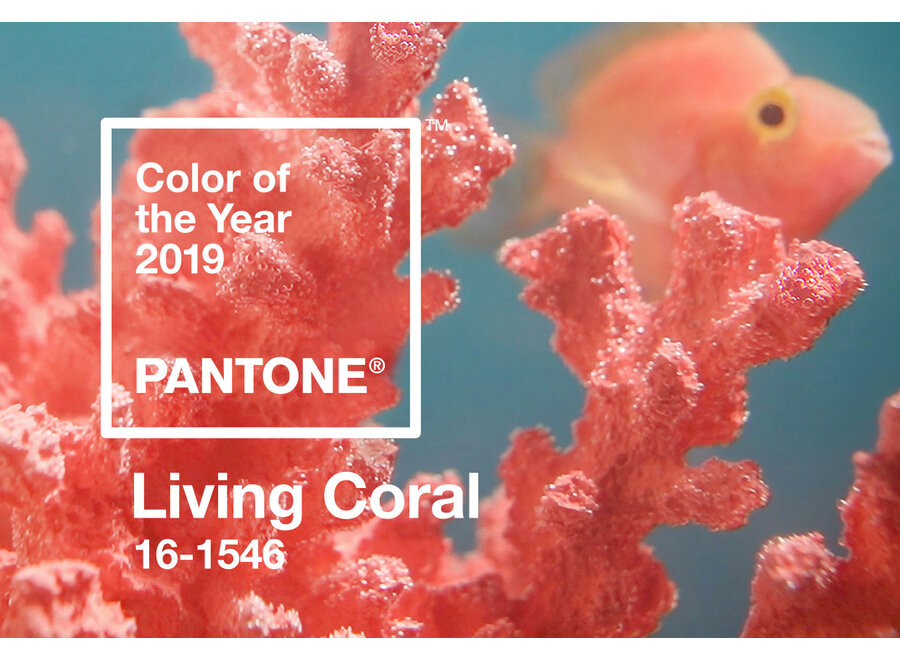 Pantone Sleutelhanger Living Coral 16-1546 COY2019