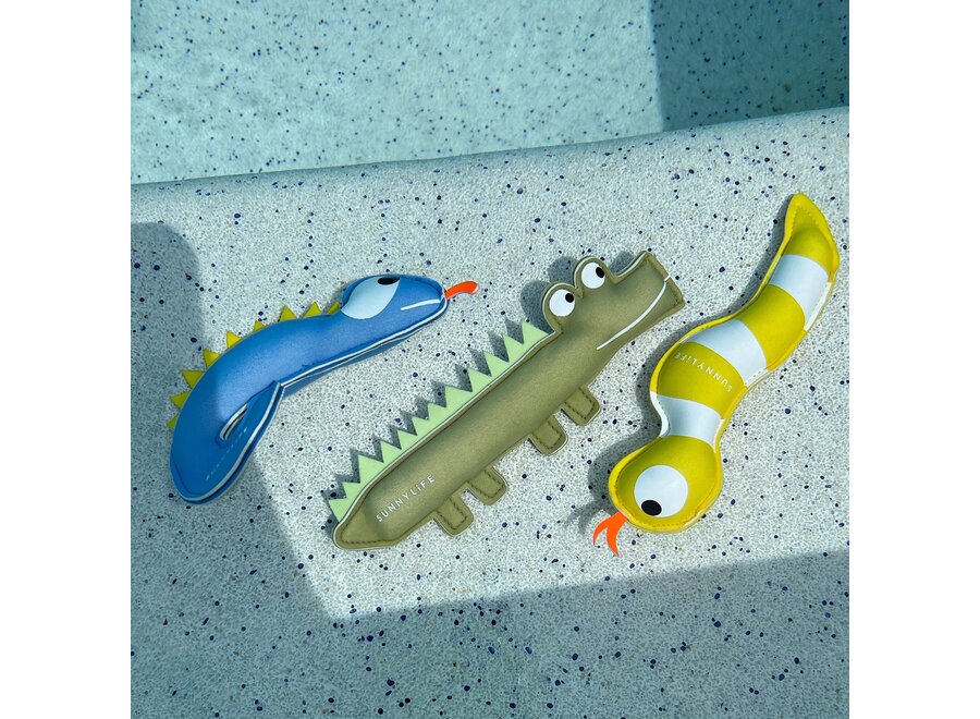 Dive Buddies Into the Wild