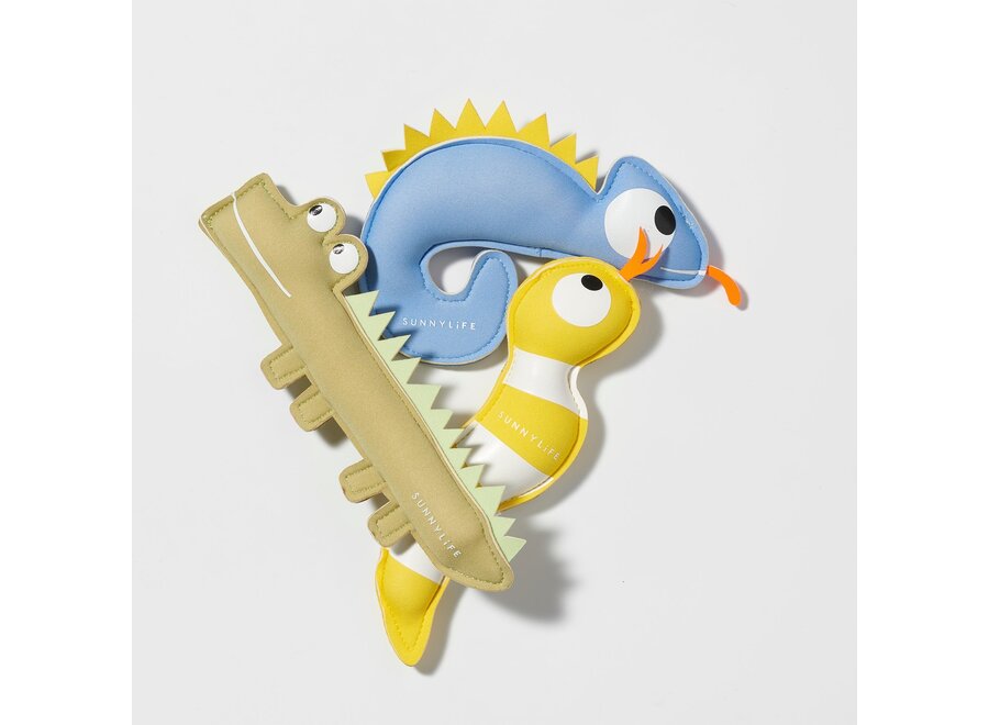 Dive Buddies Into the Wild