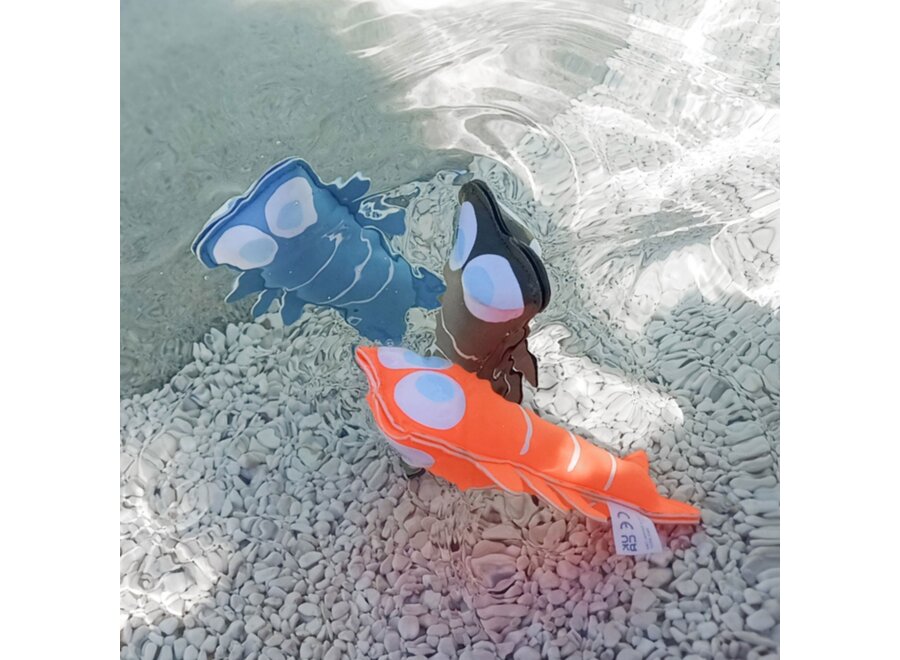 Dive Buddies Sonny the Sea Creature