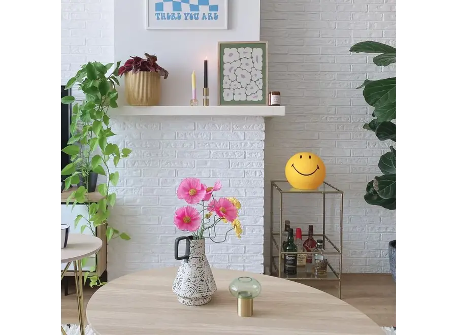 Smiley® Star Light 25cm