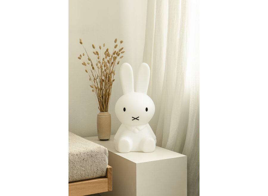 Nijntje Star Light 50cm