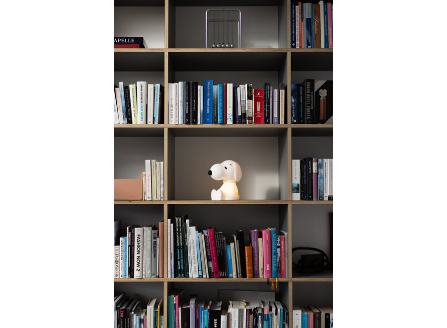 Snoopy First Light 22cm